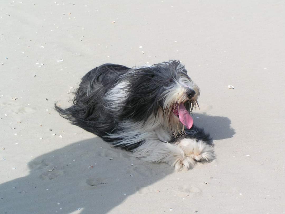 nelson op texel